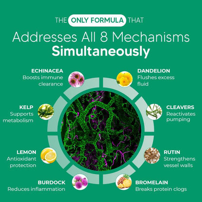 PureNova - Lymphatic Drainage Antioxidants & Immune Support