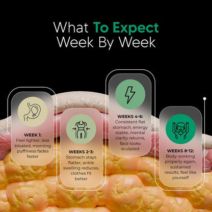 PureNova - Lymphatic Drainage Antioxidants & Immune Support