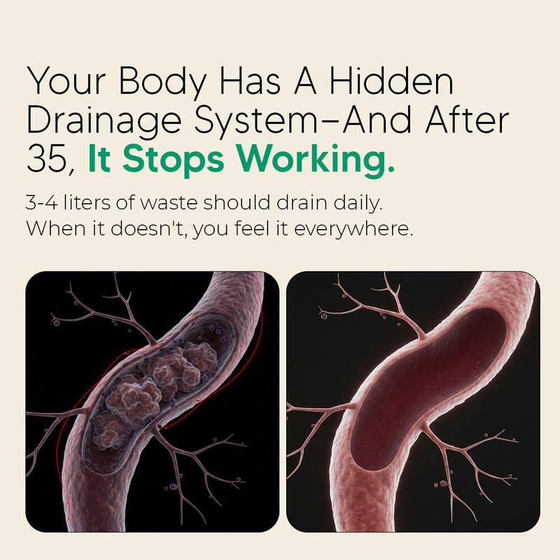 PureNova - Lymphatic Drainage Antioxidants & Immune Support