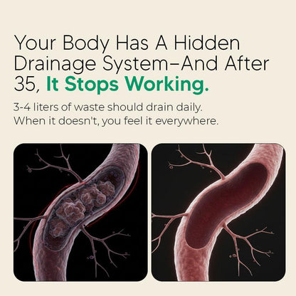 PureNova - Lymphatic Drainage Antioxidants & Immune Support