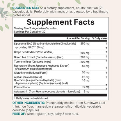 PureNova - Liposomal NAD+ Ultimate